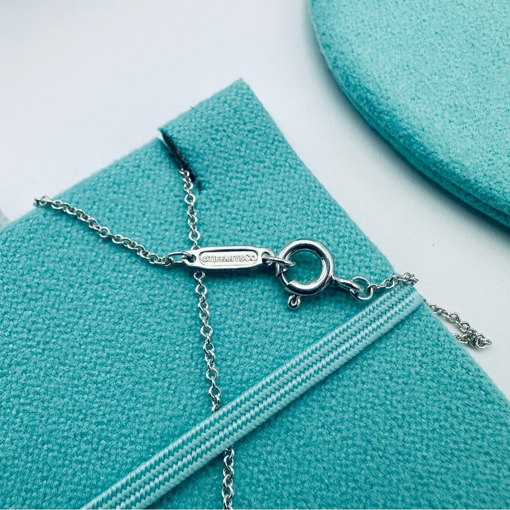 NEW Return to Tiffany & Co. Beyonce Renaissance Tour Collection Necklace 18” - Picture 7 of 10